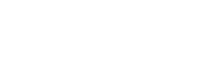 Investors in Diversity logo